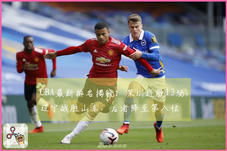 CBA最新排名揭晓：深圳连胜13场，辽宁战胜山东，后者降至第八位