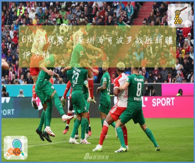 CBA常规赛：深圳马可波罗战胜新疆伊力特
